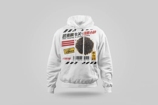 Hoodie — Zhèngshān Xiǎozhǒng