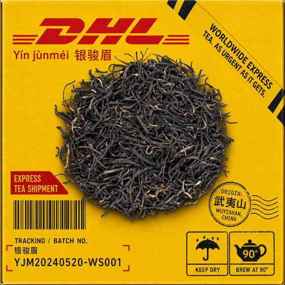 Yín Jùn Méi